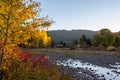 Sun highlights the autumn colored trees along the Naches River. Royalty Free Stock Photo