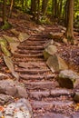 Fall forest hiking trail staircase lined with stone rocks winding up Royalty Free Stock Photo