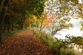 Fall forest path at Danube river bank Royalty Free Stock Photo