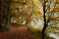 Fall forest path at Danube river bank Royalty Free Stock Photo