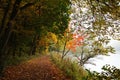 Fall forest path at Danube river bank Royalty Free Stock Photo