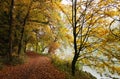 Fall forest path at Danube river bank Royalty Free Stock Photo