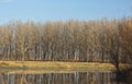 Fall Forest Reflected on Lake