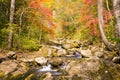 Fall forest stream Elomovsky with red maple trees Royalty Free Stock Photo