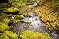 Fall forest stream Elomovsky in russian Lazo reserve Royalty Free Stock Photo