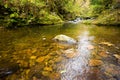 Fall forest stream Elomovsky in russian primorye