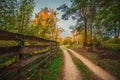 Fall forest, wooden fence and road Royalty Free Stock Photo