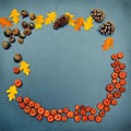 Fall frame, pumpkins, cones, acorn, leaves Royalty Free Stock Photo