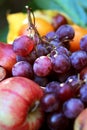 Fall fruits Autumn grapes apples harvest. Food, Health. Royalty Free Stock Photo