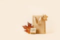 Fall Gift or Sale concept. Shopping paper bag, autumn decor. Royalty Free Stock Photo