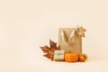 Fall Gift or Sale concept. Shopping paper bag, autumn dÃÂ©cor pumpkins. Royalty Free Stock Photo