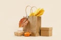 Fall Gift or Sale concept. Shopping paper bag, autumn decor pumpkins. Royalty Free Stock Photo