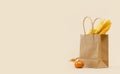 Fall Gift or Sale concept. Shopping paper bag, autumn decor pumpkins. Royalty Free Stock Photo