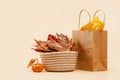 Fall Gift or Sale concept. Shopping paper bag, autumn decor pumpkins. Royalty Free Stock Photo