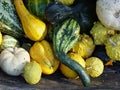 Fall Gourds