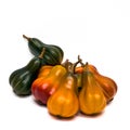 Fall Gourds Royalty Free Stock Photo