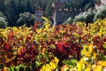 Fall Grape Leaves at Castle Royalty Free Stock Photo