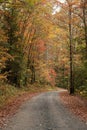 Fall Gravel Road Royalty Free Stock Photo