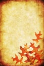 Fall Grunge Background Royalty Free Stock Photo