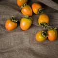 Fall Hachiya Persimmons centered in Rustic Still Life on Brown Burlap with room or space for copy, text or your words. Square shot Royalty Free Stock Photo