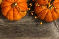 Fall and halloween Background