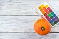 Fall Halloween crafts. One orange decorative pumpkin and bright