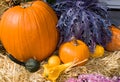 Fall Harvest Royalty Free Stock Photo