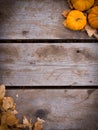 Fall harvest background Royalty Free Stock Photo