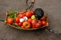 Fall harvest basket with tomatoe Royalty Free Stock Photo