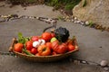 Fall harvest basket with tomatoe Royalty Free Stock Photo