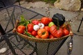 Fall harvest basket with tomatoe Royalty Free Stock Photo