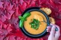 Fall harvest bisque soup of pureed squash and other fall vegetables, in a black bowl and plate, toasted bread, basil, spoon with h Royalty Free Stock Photo