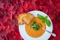 Fall harvest bisque soup of pureed squash and other fall vegetables, in a white bowl, toasted bread, basil, and spoon, background Royalty Free Stock Photo