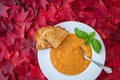 Fall harvest bisque soup of pureed squash and other fall vegetables, in a white bowl, toasted bread, basil, and spoon, background Royalty Free Stock Photo