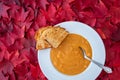 Fall harvest bisque soup of pureed squash and other fall vegetables, in a white bowl with toasted bread and a spoon, background of Royalty Free Stock Photo