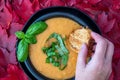 Fall harvest bisque soup of pureed squash and other fall vegetables, in a black bowl and plate, toasted bread, basil, hand, backgr Royalty Free Stock Photo