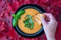 Fall harvest bisque soup of pureed squash and other fall vegetables, in a black bowl and plate, toasted bread, basil, hand, backgr Royalty Free Stock Photo