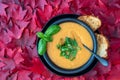 Fall harvest bisque soup of pureed squash and other fall vegetables, in a black bowl and plate, toasted bread, basil, spoon, backg Royalty Free Stock Photo