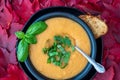 Fall harvest bisque soup of pureed squash and other fall vegetables, in a black bowl and plate, toasted bread, basil, spoon, backg Royalty Free Stock Photo