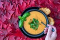 Fall harvest bisque soup of pureed squash and other fall vegetables, in a black bowl and plate, toasted bread, basil, spoon with h Royalty Free Stock Photo
