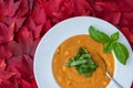 Fall harvest bisque soup of pureed squash and other fall vegetables, in a white bowl, basil, and spoon, background of red leaves Royalty Free Stock Photo