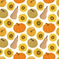 Fall harvest colorful pumpkins and sunflowers seamless pattern Royalty Free Stock Photo