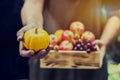 Fall harvest cornucopia. Autumn season Thanksgiving day concept Royalty Free Stock Photo