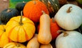 Fall harvest cornucopia. Autumn season Thanksgiving day concept Royalty Free Stock Photo
