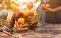 Fall harvest cornucopia. Farmer with fruit and vegetable in Autumn season.