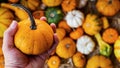 Fall harvest cornucopia. Pumpkin in autumn and fall season. For Thanksgiving and halloween Royalty Free Stock Photo