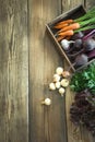 Fall harvest. Fresh vegetable, carrot, beetroot, onion, garlic on old wooden board. Top view. Copy space. Royalty Free Stock Photo