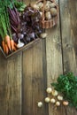 Fall harvest. Fresh vegetable, carrot, beetroot, onion, garlic on old wooden board. Top view. Copy space. Royalty Free Stock Photo