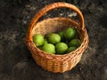 Fall harvest of fruits in pottle