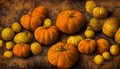 Fall Harvest Illustration Royalty Free Stock Photo